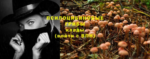 дмт Мегион