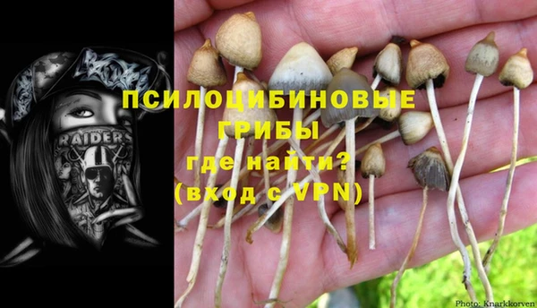 дурь Абдулино