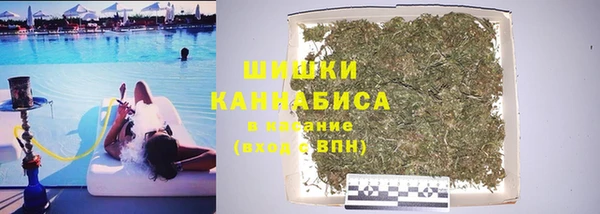 дмт Мегион