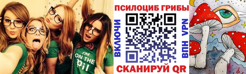 как найти наркотики  Братск  MEGA вход  Псилоцибиновые грибы GOLDEN TEACHER 